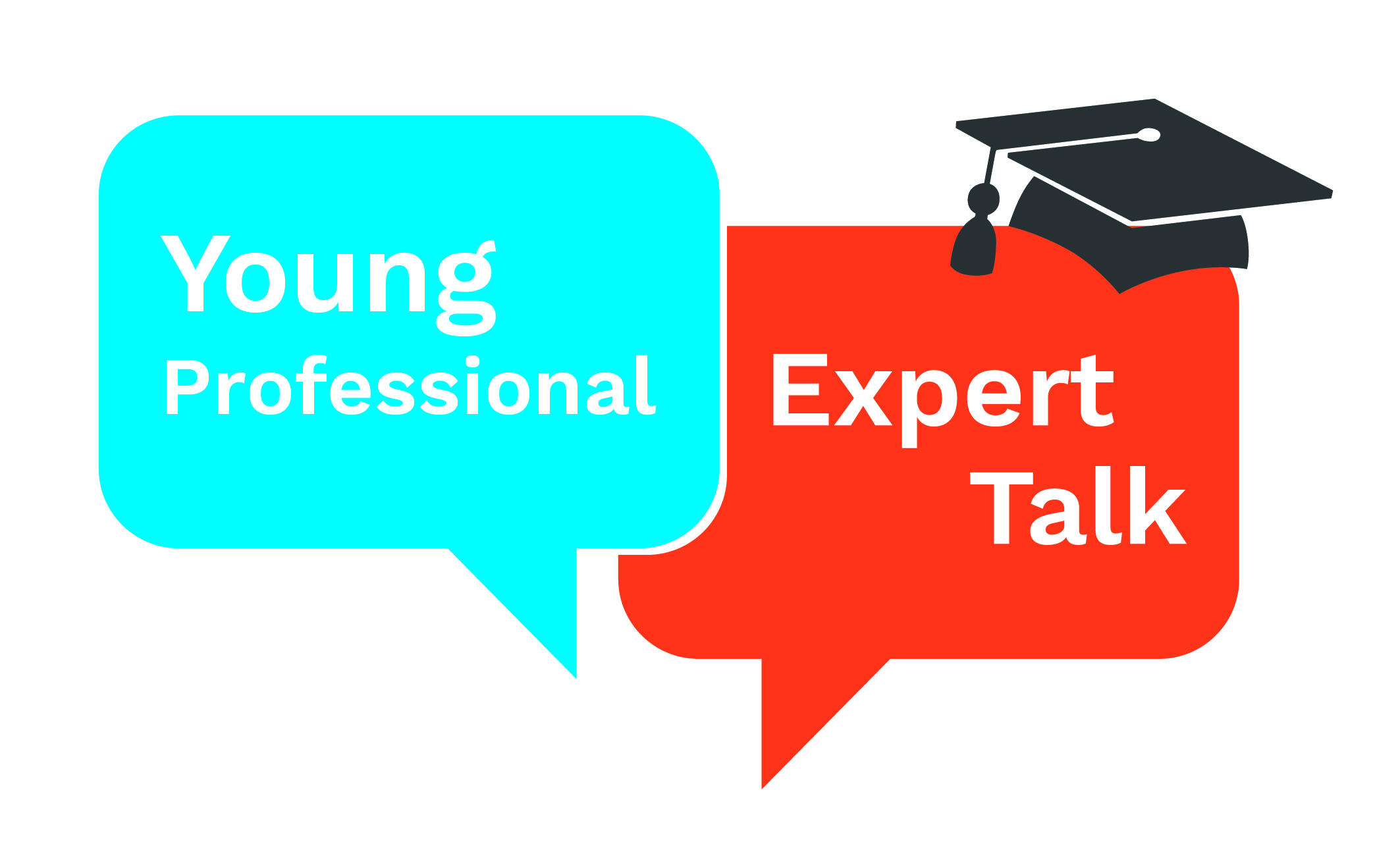 Young Professional Expert Talk